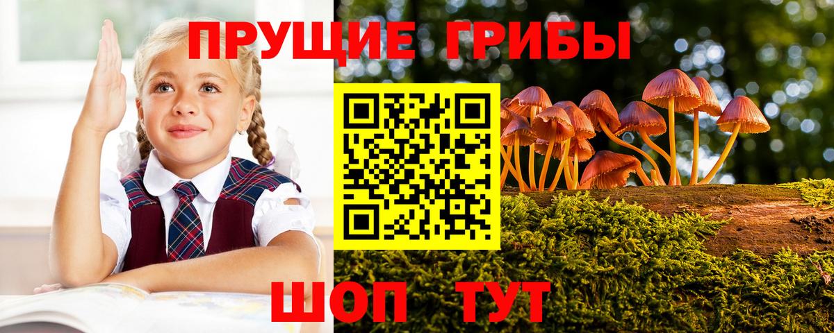 Ялта  Псилоцибиновые грибы MAGIC MUSHROOMS  Вход с VPN  Галлюциногенные грибы Cubensis 